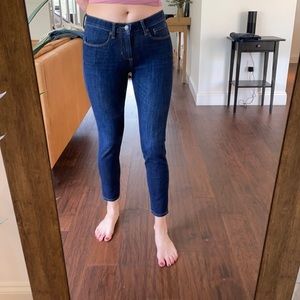 Banana Republic Dark Navy Skinny Jeans